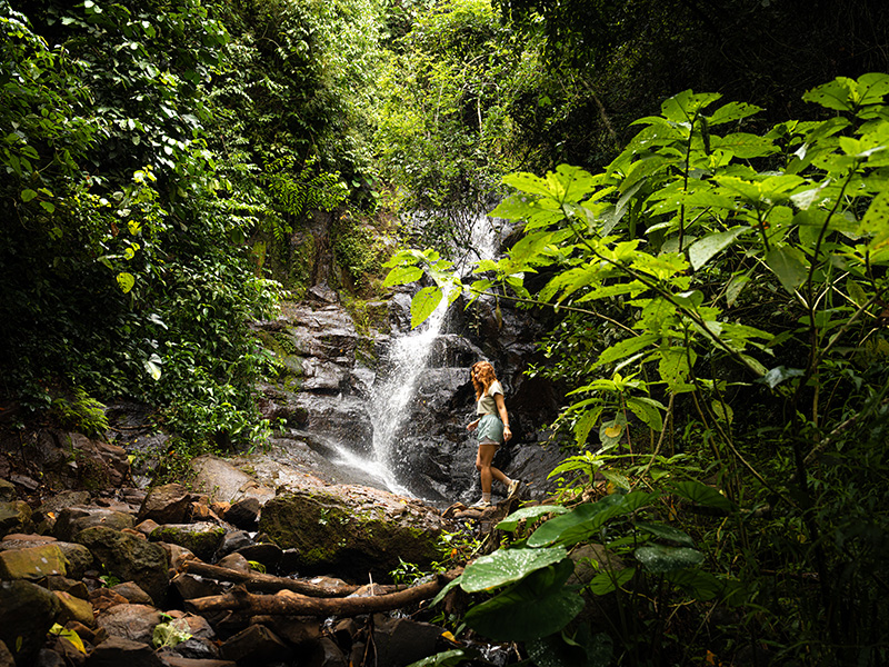 Trilha até uma cachoeira em Foz do Iguaçu